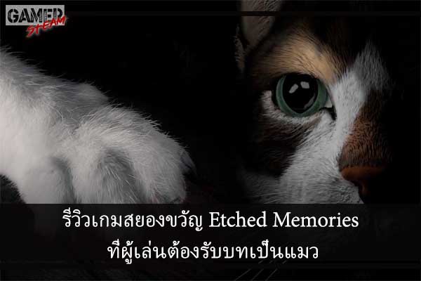 รีวิวเกมสยองขวัญ Etched Memories ที่ผู้เล่นต้องรับบทเป็นแมว